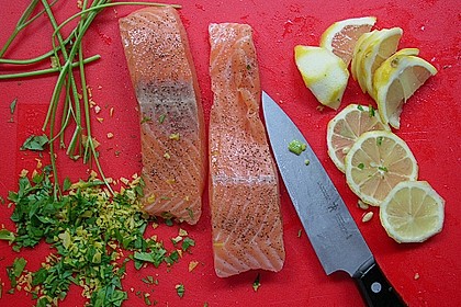 Lachs-Couscouspäckchen 110