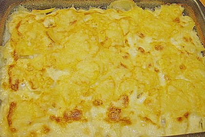Kartoffelgratin 163