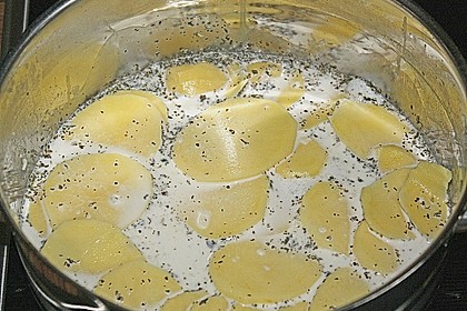 Kartoffelgratin 206