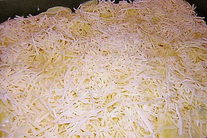 Kartoffelgratin 197