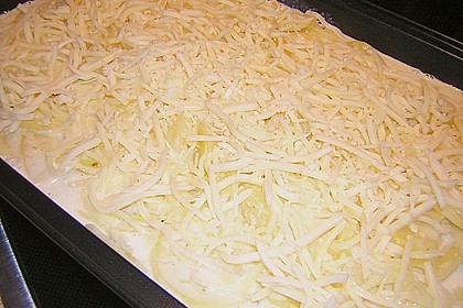Kartoffelgratin 222