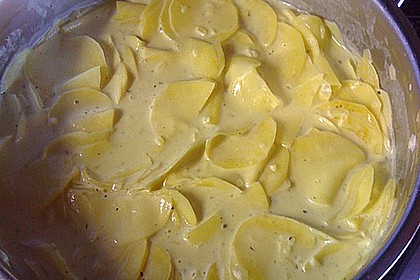 Kartoffelgratin 120