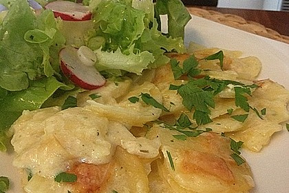Kartoffelgratin 19