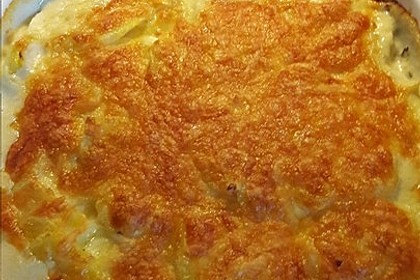 Kartoffelgratin 119