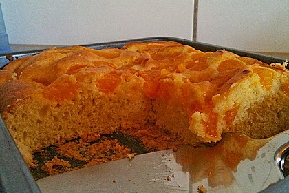 Saftiger Mandarinenkuchen von Alexandra74 | Chefkoch.de