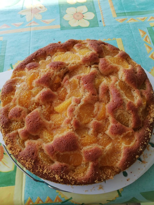 Aprikosenkuchen Rezepte | Chefkoch.de