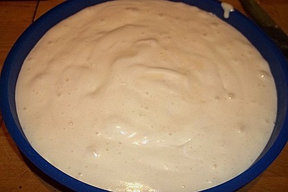 Rahmkoch 133