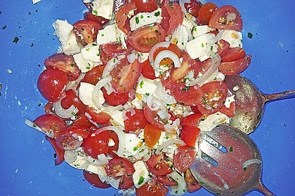 Mozzarella - Tomaten - Salat 73
