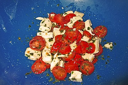 Mozzarella - Tomaten - Salat 65