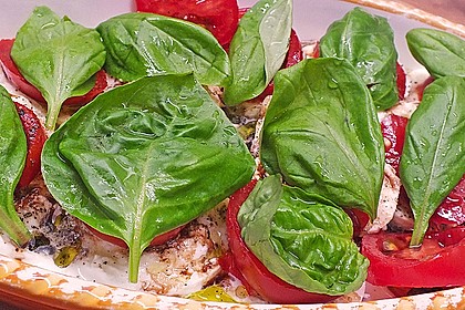 Mozzarella - Tomaten - Salat 43