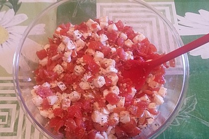 Mozzarella - Tomaten - Salat 58