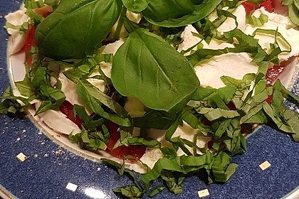 Mozzarella - Tomaten - Salat 56