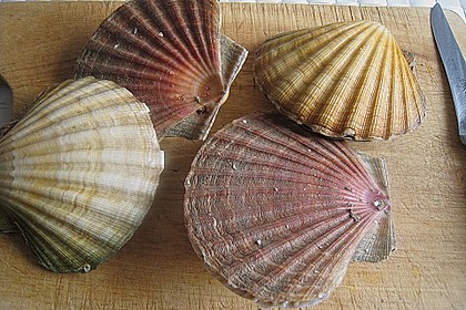 Jakobsmuscheln im Senfschaum mit Gemüse und schwarzem Reis 1