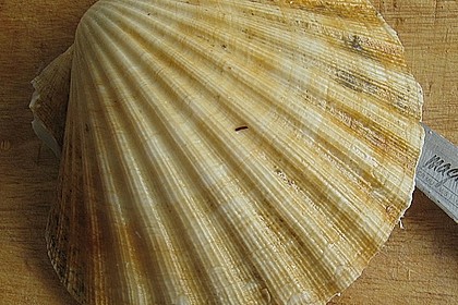 Jakobsmuscheln im Senfschaum mit Gemüse und schwarzem Reis 5