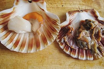 Jakobsmuscheln im Senfschaum mit Gemüse und schwarzem Reis 8