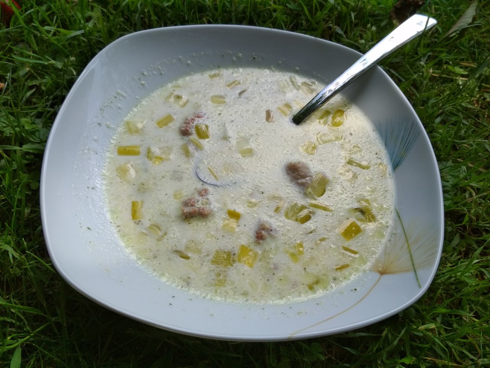 Käse Hackfleisch Lauch Suppe — Rezepte Suchen